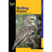 Birding Maine