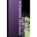 A Cosmist Manifesto: Practical Philosophy for the Posthuman Age