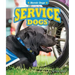 Service Dogs