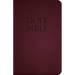 Holy Bible-Nab