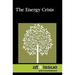 AI: The Energy Crisis -P