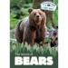 The World of Bears