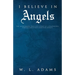 I Believe in Angels: The Miraculous True-Life Story of Catastrophic Vehicle Collision Survivor Ashley