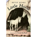 Little Horse