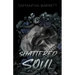 Shattered Soul