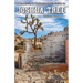 A Landscape Photographer's Guide to Joshua Tree National Park