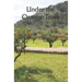 Under the Orange Trees