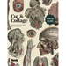 Cut and Collage A Treasury of Vintage Anatomy Images for Collage and Mixed Media Artists
