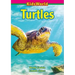 Turtles