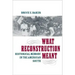 What Reconstruction Meant: Historical Memory in the American South