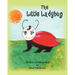 The Little Lady Bug
