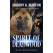 Spirit of Deadwood: A Full-Length Jerry McNeal Novel