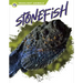 Stonefish