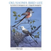 Oklahoma Bird Life