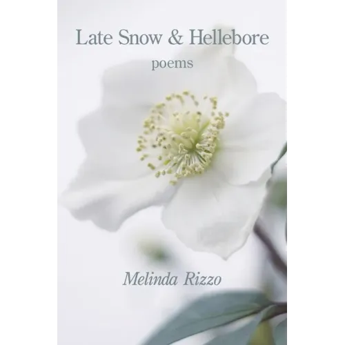 Late Snow and Hellebore