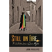 Still on Fire: Field Notes from a Queer Mystic