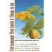 The Language They Speak Is Things to Eat: Poems By Fifteen Contemporary North Carolina Poets