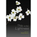 This Is the Lightness