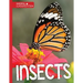 Insects