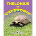 Thelonius of Caledonia