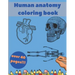 Human Anatomy Coloring Book: Learning For Kids Beginner Knowledge Inside Body Model Muscles Nerves Bones