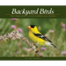 Backyard Birds: Welcomed Guests at Our Gardens and Feeders