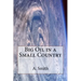 Big Oil in a Small Country