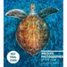 Wildlife Photographer of the Year: Highlights Volume 6: Volume 6