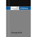 Notes, Critical and Practical, on the Book of Joshua