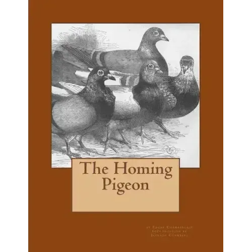 The Homing Pigeon
