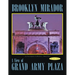 Brooklyn Mirador: An Incomplete Collection Book Two-- a View of Grand Army Plaza