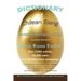 Dictionary of Chilean Slang: Your Key to Chilean Language and Culture