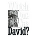 Which One Was David? (hardback)
