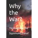 Why the War?: The Disasters of War