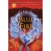 The Healing Wars: Book II: Blue Fire