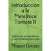 Introducción a la Metafísica Tomista II: Definición de Metafísica y Los Primeros principios