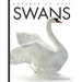 Swans