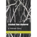 Cracked Then Shattered: A Vietnam Story