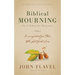 Biblical Mourning: Encouragement for Those Who Lost Loved Ones