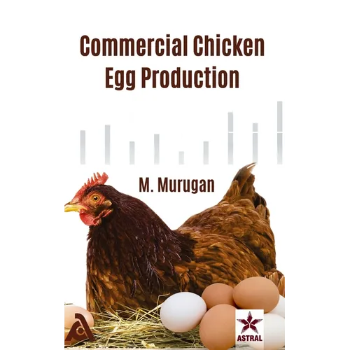 Commercial Chicken Egg Production