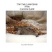 The Two Little Birds From Caroline Lane