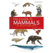 Field Guide to the Mammals of South-East Asia (2nd Edition)
