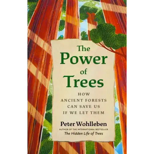The Power of Trees: How Ancient Forests Can Save Us If We Let Them