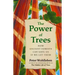 The Power of Trees: How Ancient Forests Can Save Us If We Let Them