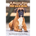 A Boxer Dog Guide: Boxer Training Tips For First Time Owners: The Best Way To Train A Boxer Puppy