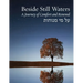 Beside Still Waters: A Journey of Comfort and Renewal - Large Print Edition