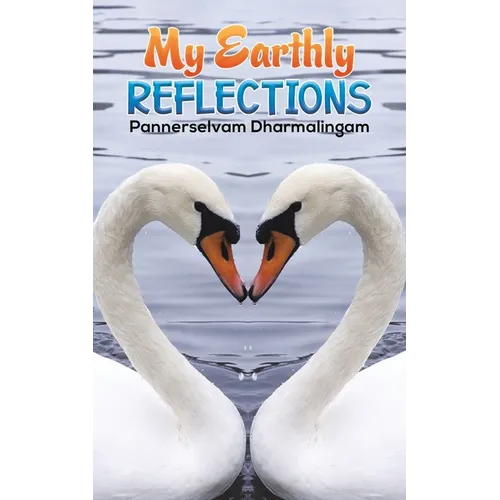 My Earthly Reflections