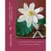 The Complete Collection of Bead Flowers