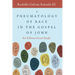 A Pneumatology of Race in the Gospel of John: An Ethnocritical Study