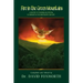 Fire in the Green Mountains: A History of Evangelical Revival in Vermont in the Nineteenth Century